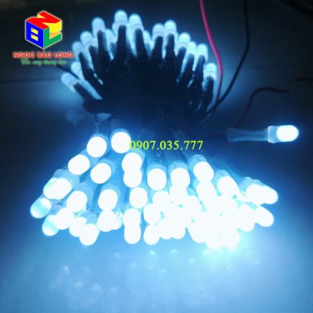 LED ruồi XQD màu trắng sáng đẹp chất lượng cao thích hợp làm bảng LED vẫy