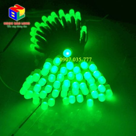 LED ruồi XQD màu xanh lá sáng đẹp chất lượng cao thích hợp làm bảng LED vẫy