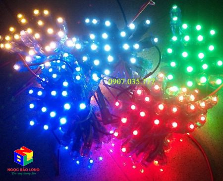 led đúc f8 các màu