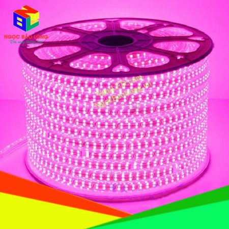 led-day-2835-220v-cuon-100m-hong