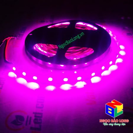 led-day-5050-12v-khong-keo-hong-sieu-sang