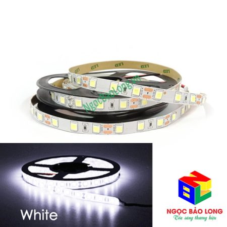 led-day-5054-12v-khong-keo-trang