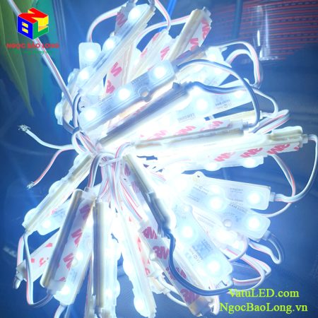 LED-module-3-bong-Han-Quoc
