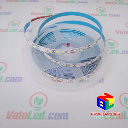 led-day-120-led-trang