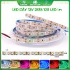 led dây dán 120 led/m
