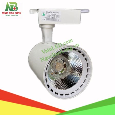 den-led-roi-ray-20w