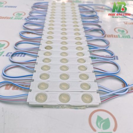 Led-module-3-bong-6113-shx-màu-vàng