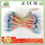 Led full màu F8 IC 8208 12V tự chạy hiệu ứng Led full màu F8 IC 8208 12V tự chạy hiệu ứng
