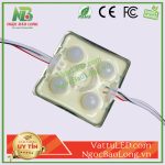 LED Module 4 bóng JIYI chóa lồi trắng