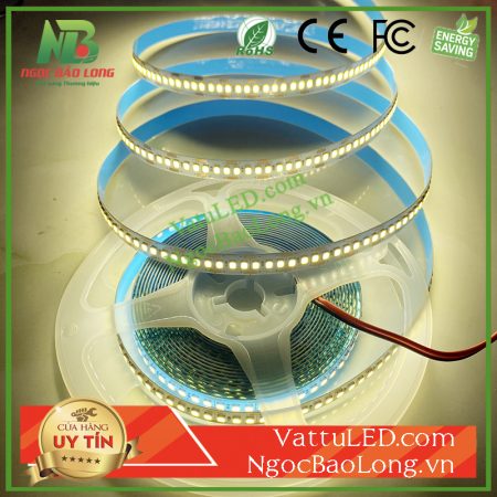 led-day-240-led-trung-tinh