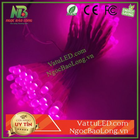 led-ruoi-12v-jiyi-mau-hong