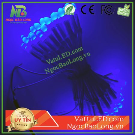 gia-led-ruoi-12v-xanh-duong