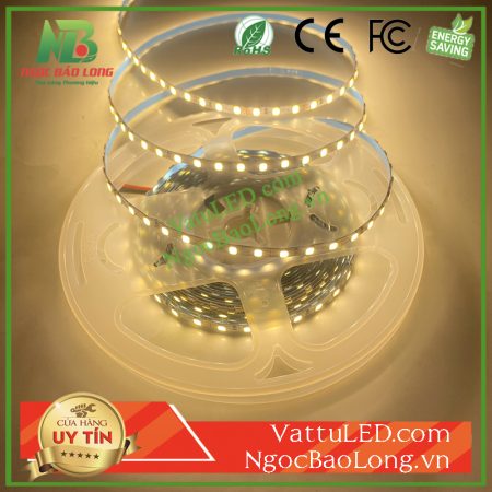 led-day-12v-mau-am