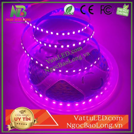 day-led-12v-mau-hong