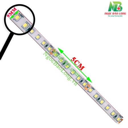 kich-thuoc-led-day-24v