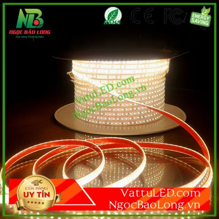 led-day-24-mau-trung-tinh