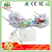 Dây led nhấp nháy kim cương nhiều màu