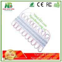 Led hắt module 2 bóng tỏa 4211 Led hắt module 2 bóng tỏa 4211