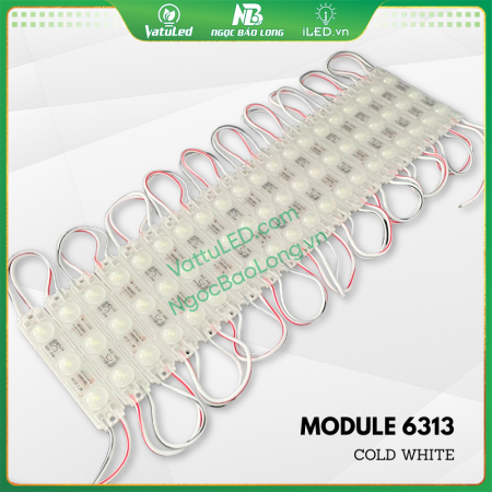 LED hắt module 3 bóng 6313 màu tRắng