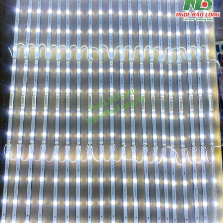 led-thanh-toa-220v-anh-sang-trang