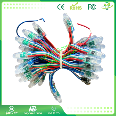 LED Đúc F8 Full Color IC 1818