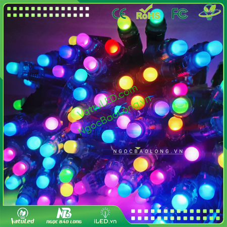 LED Đúc F8 Full màu 1818