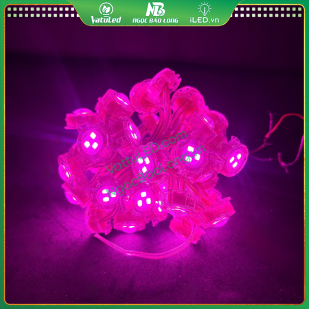 LED F20 màu hồng