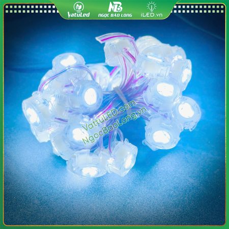 LED F20 trắng