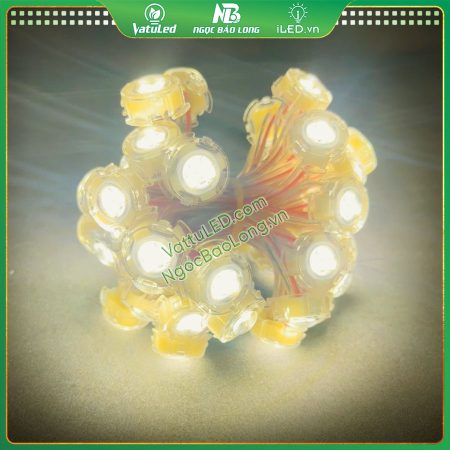 LED F20 vàng nắng