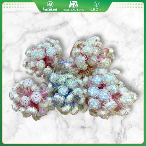 LED F20 Đơn màu Jiyi – Giải Pháp cho Chữ Quảng Cáo Cỡ Lớn Và Viền Trang Trí