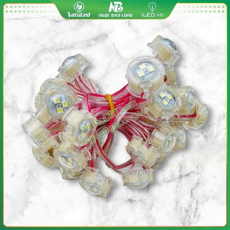 LED F20 ánh sáng trắng