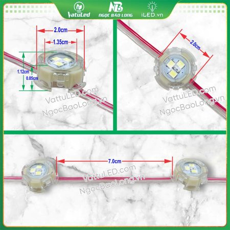 Kích thước LED bát F20 màu Trắng