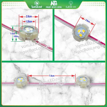 Kích thước LED bát F20 màu vàng