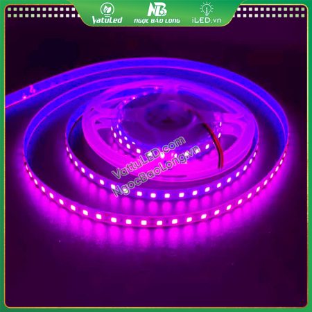 LED dây 12v màu hồng